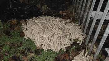 מאות נקניקיות נמצאו מפוזרות והתושבים מנסים להבין מדוע