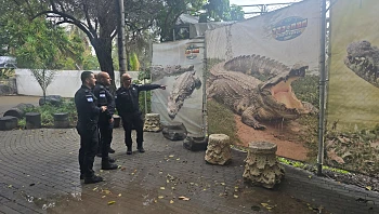 יוזמת "כלא התנינים" של בן גביר: צוות שב"ס סייר בחמת גדר