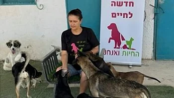 "הזדעזתי מהמחשבה שיש כלבים שהולכים להמתה, פעלתי להציל אותם"