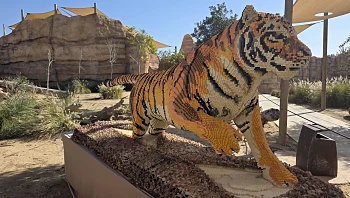 האבנים המתגלגלות: 3 תערוכות בעקבות אבני המשחק הפופולאריות