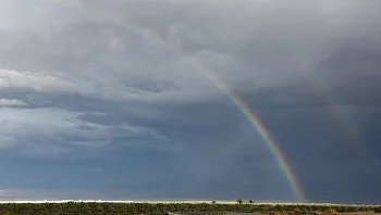 לאחר הסערה: מזג אוויר קר, לקראת שבוע גשום וחורפי | התחזית לשבת