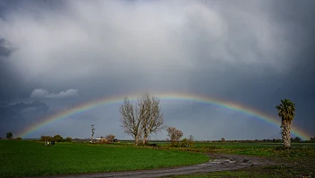התחזית לחג: מעונן ואביך עם גשמים מצפון ועד דרום