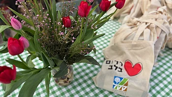 מסע בעקבות הלב: הכלניות שוב פורחות והפסטיבל האהוב חוזר