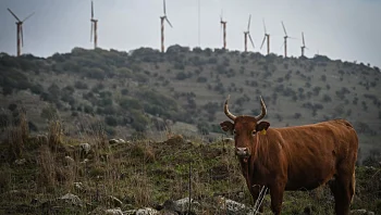 התחזית לסופ"ש: נוח ברוב האזורים, סיכוי לגשם מקומי בצפון