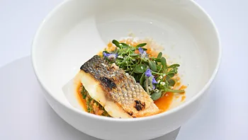 דג עם סלסת אגוזים חמוצה: המתכון של ניב ארגמן במשימת האגוזים