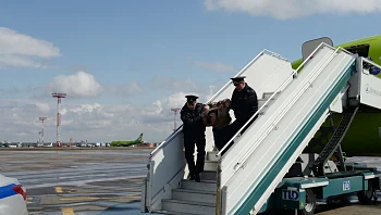 הוויכוח שיצא משליטה רגע לפני הטיסה - והתיעוד ששבר את הרשת