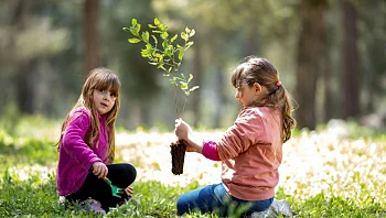 יום הולדת לאילן: מבחר אירועי ט"ו בשבט ברחבי הארץ