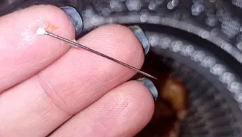 נפצעה ממחט שהייתה בתוך תמר: "מזל שזו אני ולא הילדה שלי"