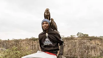 איש הציפורים: ההומלס שהפך למנהיג קבוצת עופות דורסים