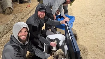 תנו לחיות לחיות בארה"ב: החיילים האמריקנים שאימצו כלבים מהעוטף