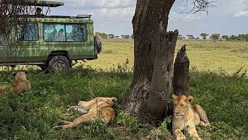 לא רק טיול בר מצווה: תתפלאו, אבל היעד הזה רומנטי להפליא