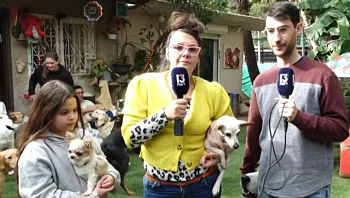"שמעתי שהכלבים מייללים וחשבתי שהם צריכים להיות ביחד"