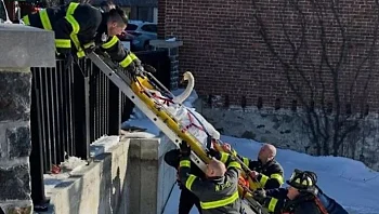 כבאים הוזעקו אל אגם קפוא - ולא האמינו למה שנתקע בתוכו