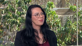 עברתם תאונה? אל תדלגו על הדבר הבא