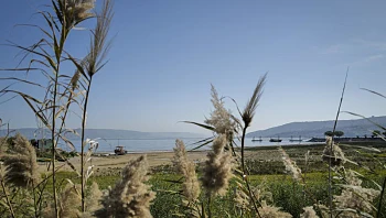 התחזית: עלייה קלה בטמפרטורות, לקראת שבת נוחה ברוב האזורים