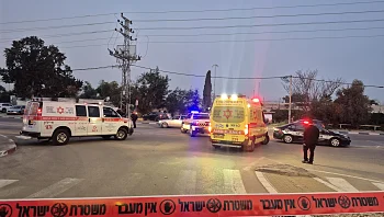 המשטרה: שרידי אדם ודרכון זר נמצאו בשטח מיוער ליד ירושלים