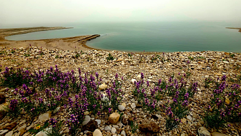 התחזית: קריר ואביך, ייתכנו גשמים בצפון