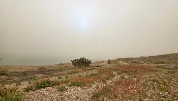 ישראל ראשונה בעולם בזיהום אוויר בגלל האובך - ומתי צפוי שרב?
