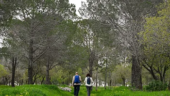 התחזית: עלייה ניכרת בטמפרטורות, לקראת שרב ביום שני