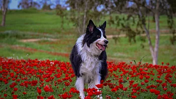 התחזית: נאה וחמים, ייתכנו גשמים מקומיים בצפון ובמרכז