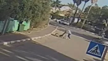 כלב תקף עובר אורח, בעליו פצע אותו עם זכוכית - ושוחרר למעצר בית