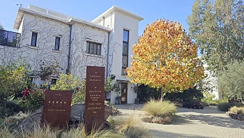 בלב הטבע הצפוני: חופשה רגועה וטעימה במלון למבוגרים בלבד