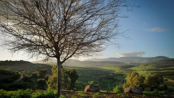 התחזית: ירידה ניכרת בטמפרטורות, ייתכן גשם מקומי קל