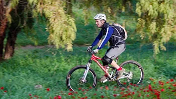 על שני גלגלים: שלושה סינגלים קסומים של קק"ל