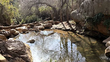 נחל זורם, תרבות ליקוט וקולינריה: 3 סיבות להגיע כעת לצפון