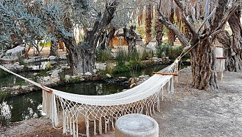 בסוף המדבר: חופשת חורף רגועה בריזורט וולנס יוקרתי