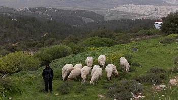 התחזית: קריר ויבש, ייתכנו גשמים בצפון