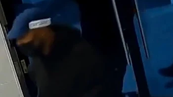 תיעוד: התחזו לשוטרים ושדדו סוחרי זהב קשישים בביתם