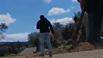 עליית מדרגה: מתנחלים רעולי פנים הכו פעילי שמאל סמוך לשכם