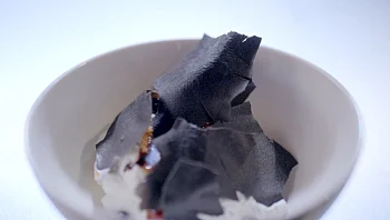 זיתים שחורים ולבנה: המתכון של פארס במשימת "יונה עם עלה של זית"