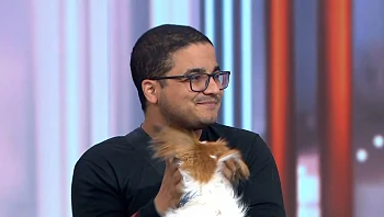 "גם באזורים מסוכנים ובשטחי לחימה": המתנדב שמציל בעלי חיים