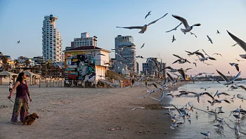 התחזית: ירידה בטמפרטורות, גשם מקומי בצפון בארץ