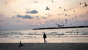 התחזית: התחממות נוספת, אובך וגשם - השרב יישבר רק מחר