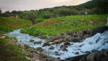 התחזית: עלייה קלה בטמפרטורות, ייתכן גשם מקומי