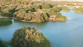 ממעברה לבירת תיירות מדברית: 4 המלצות לחופשה בעיר המפתיעה