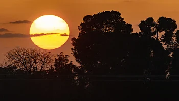 התחזית: עלייה בטמפרטורות, לקראת מזג אוויר שרבי בשבת
