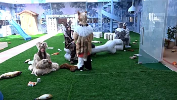 פטל וטל מגיעות לנקודת רתיחה: "מחקה אותי, זה פתטי"