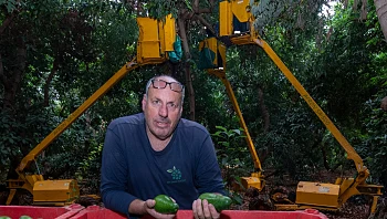 הפגיעה במשגב עם: נבדקת אפשרות שעופר מוסקוביץ נהרג מירי צה"לי