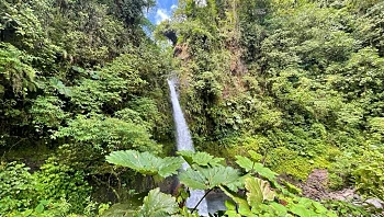 הרפתקה משפחתית בלב הטבע: היעד שמחבר בין אדרנלין לרוגע