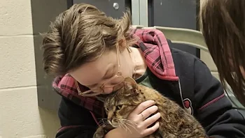 5 שנים אחרי שנעלמה: החתולה נמצאה במרתף של שכן