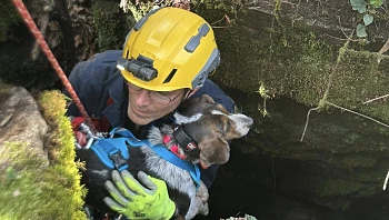 12 שעות מתחת לאדמה: הכלב שנתקע ומבצע החילוץ שהחזיר אותו