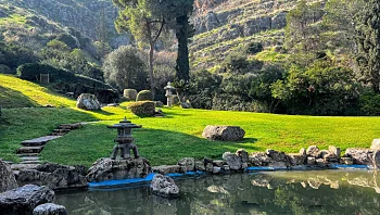 טיול על בטוח: 13 המלצות ליד מרחב מוגן באזור היפה בארץ