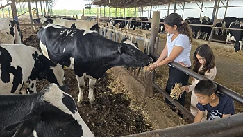 בגליל, בשפלה ובנגב: למרות המצב - קבלו את אירועי פסח 2026
