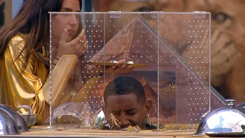 עם קורט חגב מעל - מכת הארבה הגיעה: "הם מסתובבים לי בצלחת!"