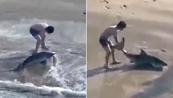 צפו: דייג תפס כריש - ואז קפץ למים כדי להציל אותו