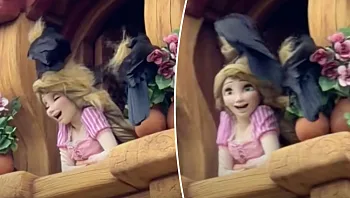 באמצע המופע: עורבים תלשו לרפונזל את השיער מול הקהל